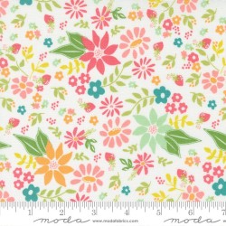 Strawberry Lemonade - 37670-11