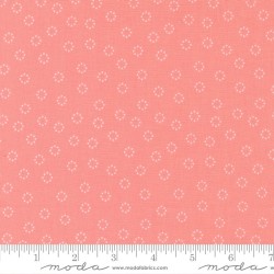 Strawberry Lemonade - 37677-12