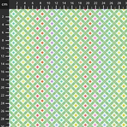 Roar - 8201-274 - Tula Pink