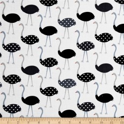 Urban zoologies - Struzzi su bianco