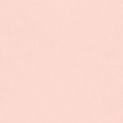 Solidi Kona cotton - Shell