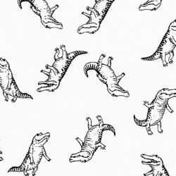 Animal club - Coccodrilli